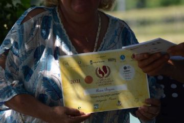 Il treno dei sogni perduti;