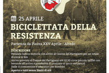 Sfoglia la galleria