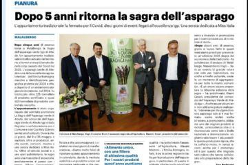Sfoglia la galleria